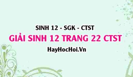 Giải Sinh 12 trang 22 Chân trời sáng tạo SGK